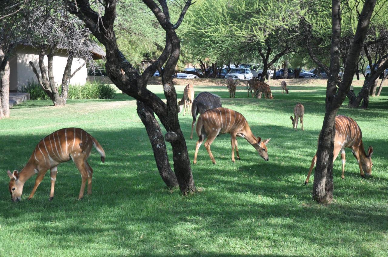 Mongena Private Game Lodge Rust de Winter المظهر الخارجي الصورة