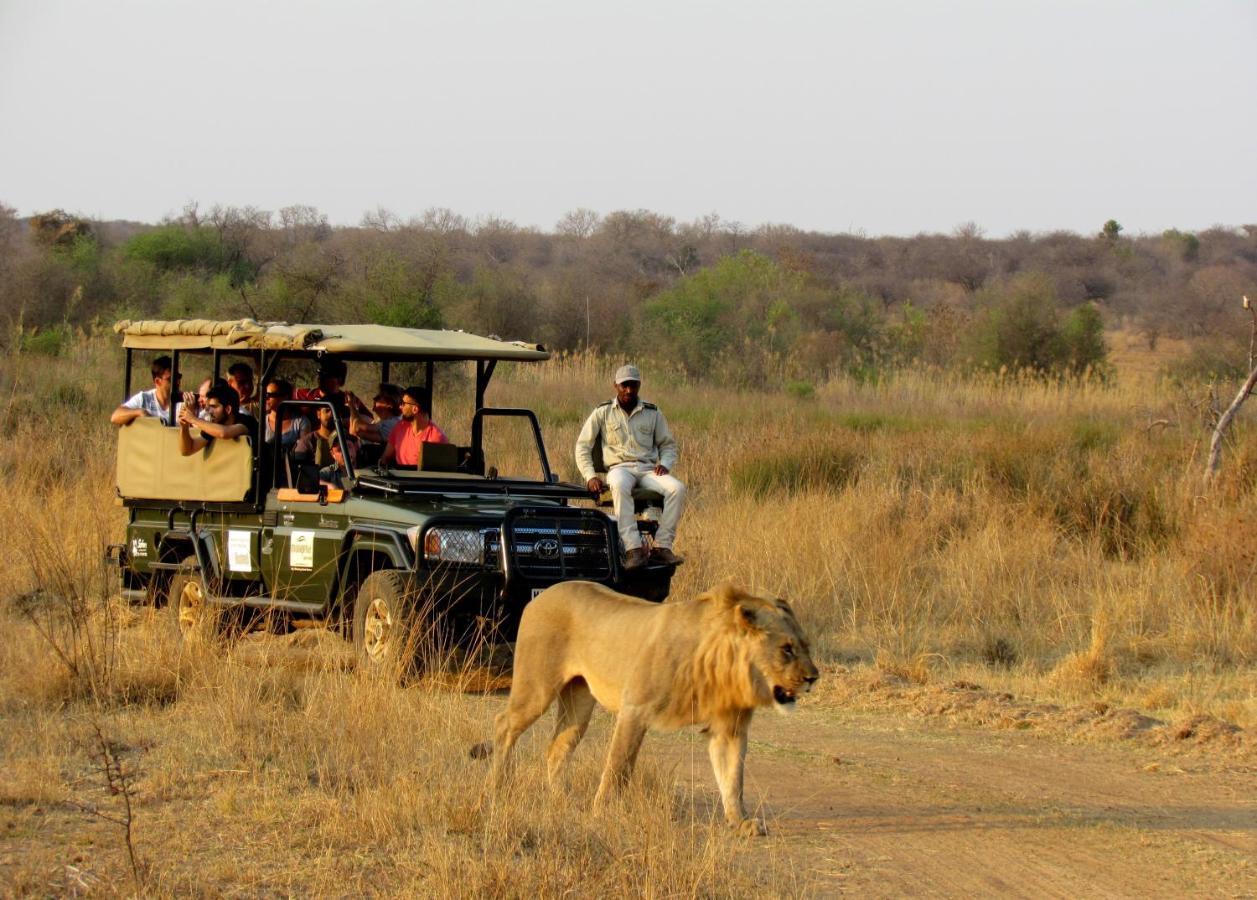 Mongena Private Game Lodge Rust de Winter المظهر الخارجي الصورة