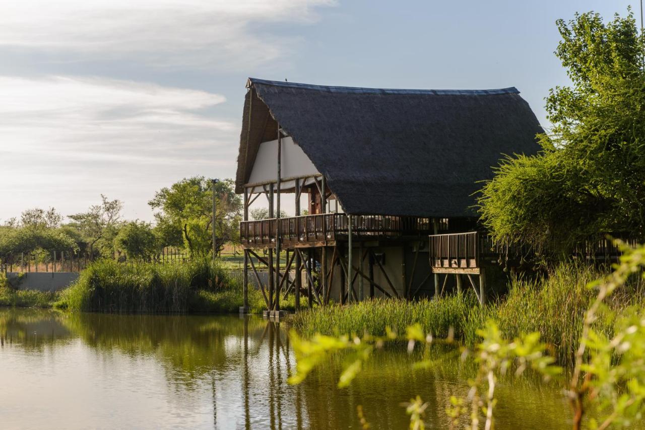 Mongena Private Game Lodge Rust de Winter المظهر الخارجي الصورة
